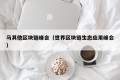 马其他区块链峰会（世界区块链生态应用峰会）