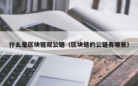 什么是区块链双公链(区块链的公链有哪些)