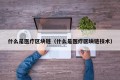 什么是医疗区块链（什么是医疗区块链技术）