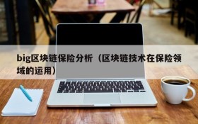 big区块链保险分析（区块链技术在保险领域的运用）