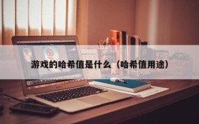 游戏的哈希值是什么(哈希值用途)